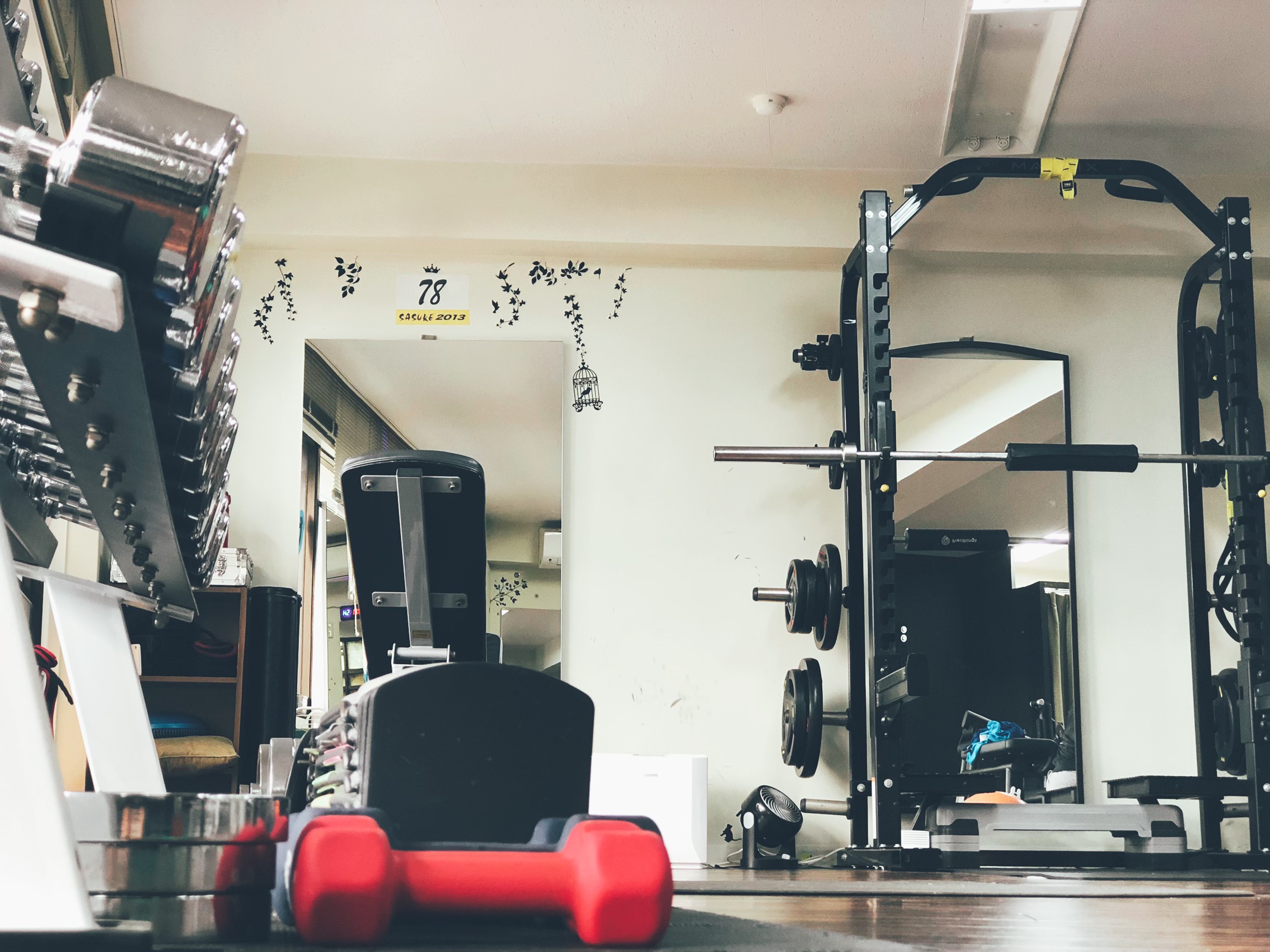 kinggym-back kinggym-back